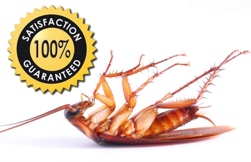 Agricultural Pest Management Agricultural Pest Management